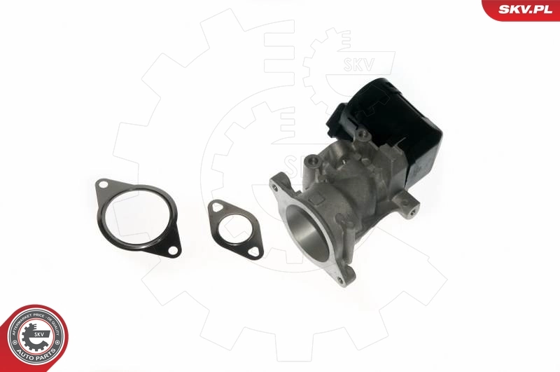 EGR Valve